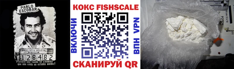 закладка  Ярославль  Cocaine Fish Scale 