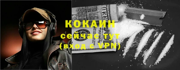 стаф Пересвет