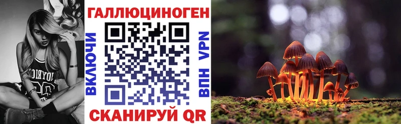 Псилоцибиновые грибы Cubensis Ярославль