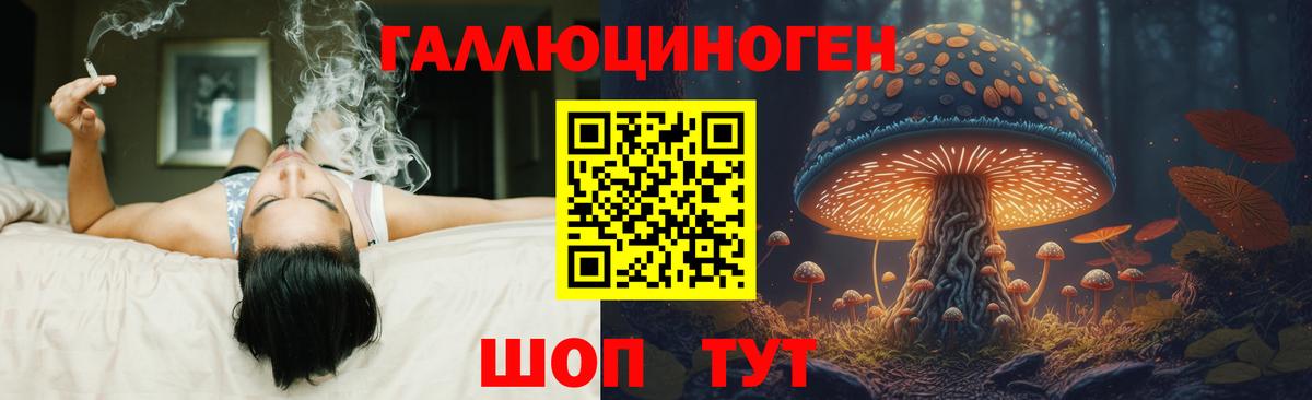 Псилоцибиновые грибы мицелий Ярославль